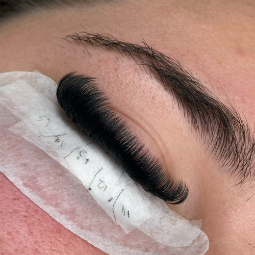 AMLASHLOUNGE signature lash trays 0.05 D curl