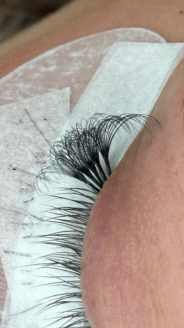 AMLASHLOUNGE signature lash trays 0.05 D curl